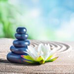 meditation rocks and lotus