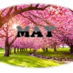 blooming trees in may