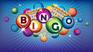 BINGO Friday Nights!