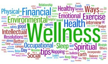 Pillars of Wellness Workshop