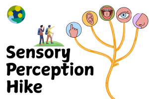 Sensory Perception Hike